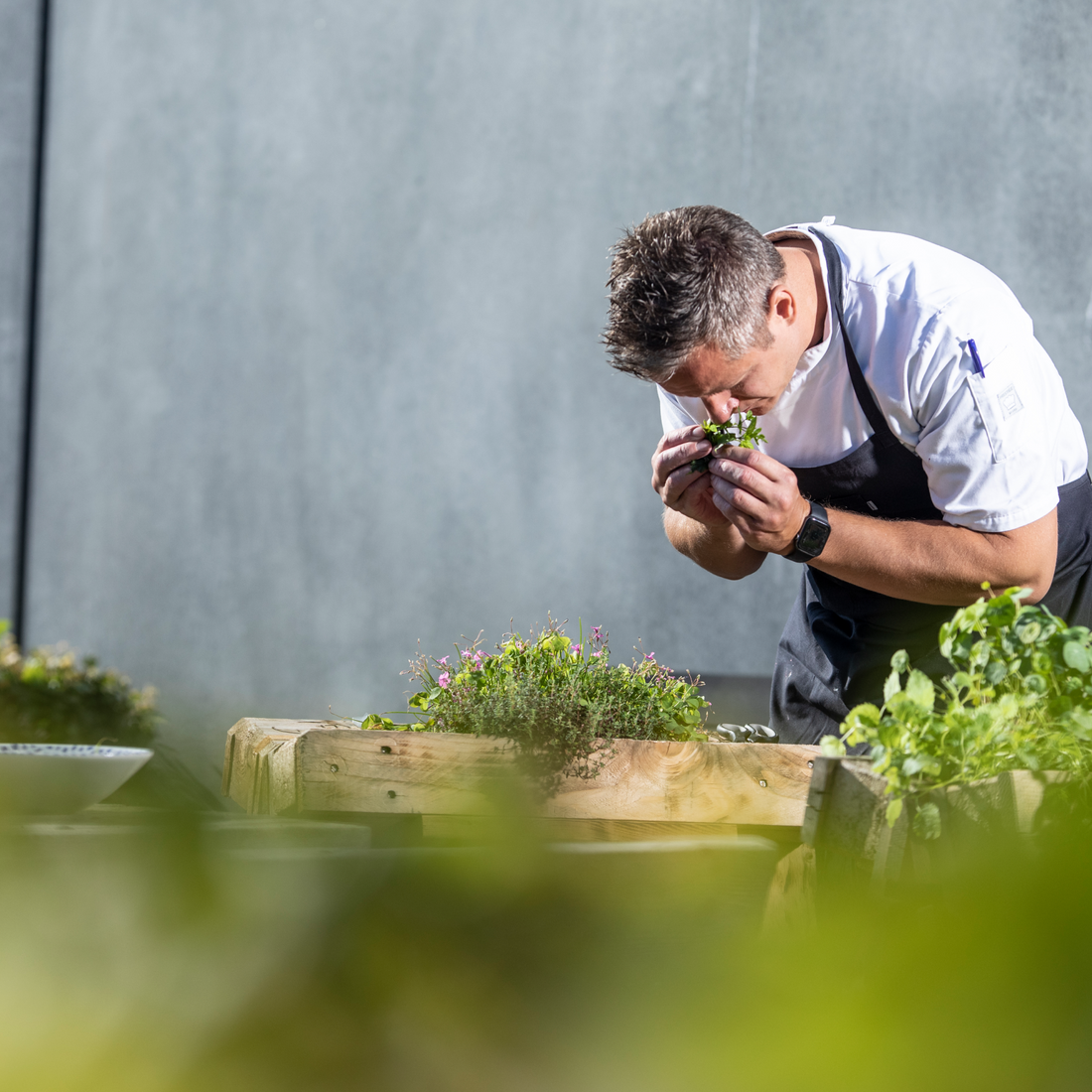 Lokale råvarer og ingredienser